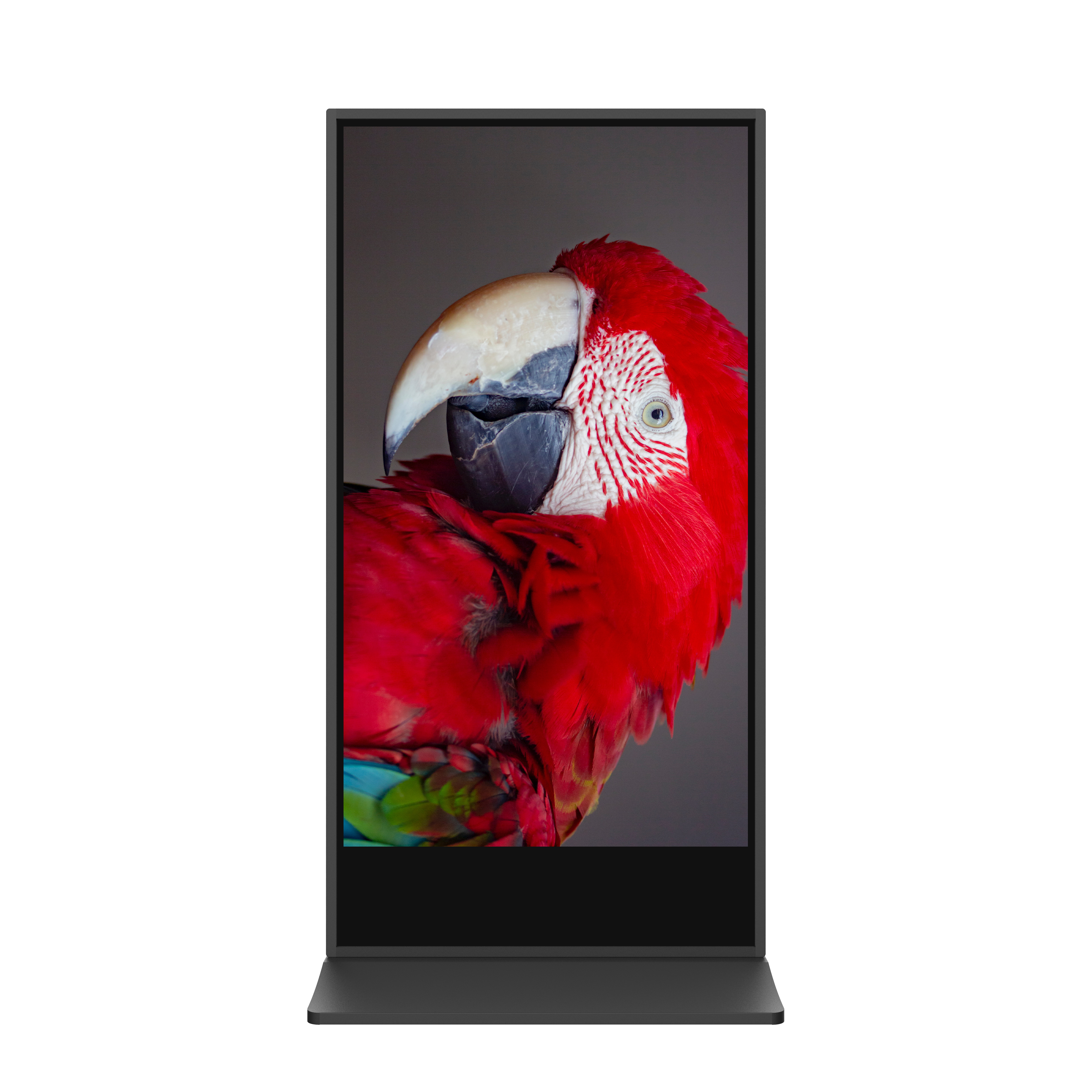 Die Abb. zeigt das Indoor LCD Digital Signage mit schmalem Rahmen zum Aufstellen in Schwarz (75 Zoll).